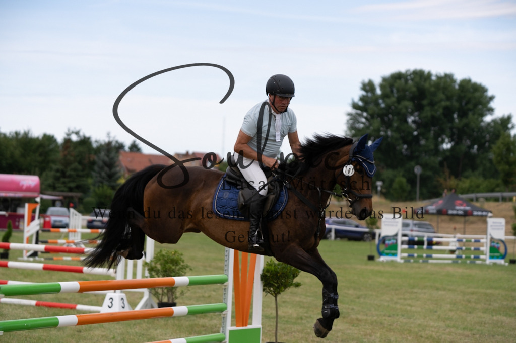 A7V01317 | Pferdefotograf