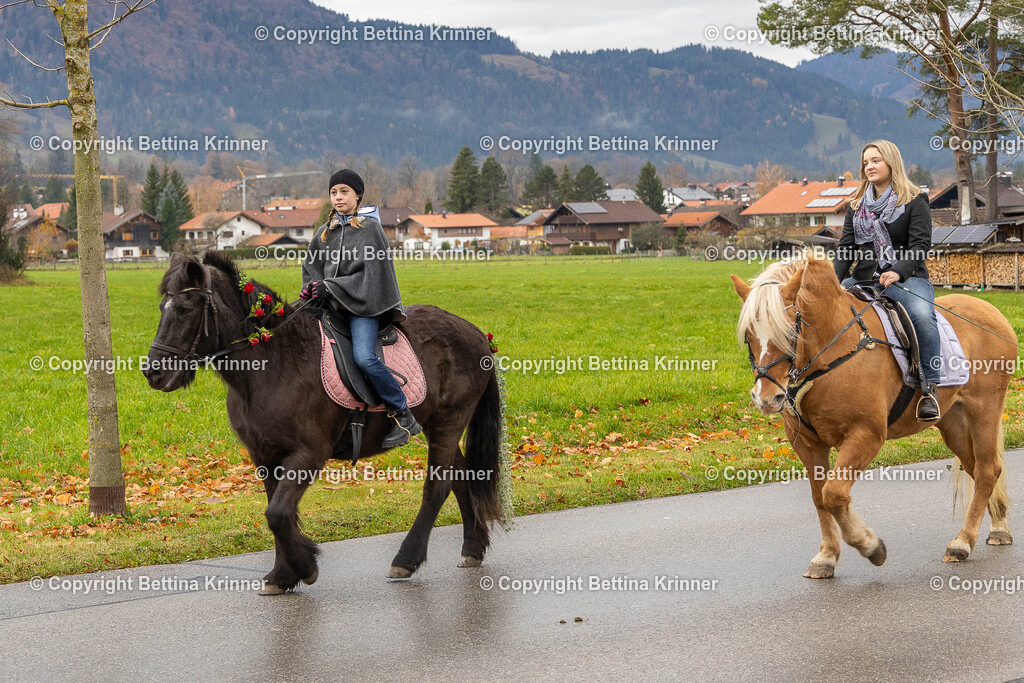 LL25-54 | foto-bettina-krinner - Realisiert mit Pictrs.com