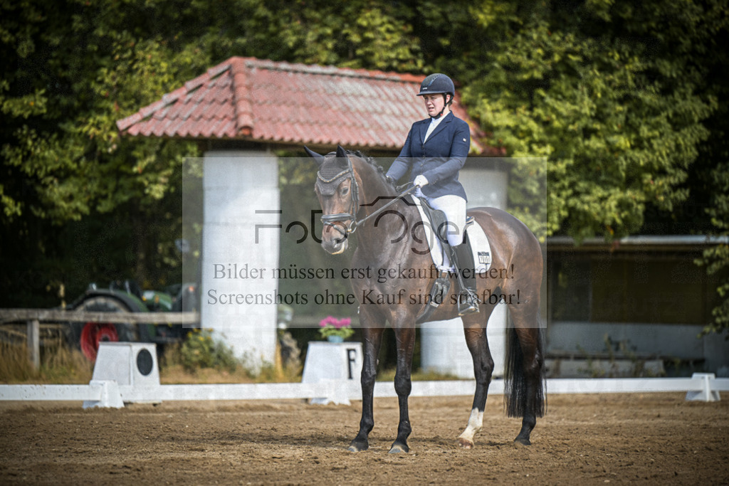 DOS_4213 | Entdecke hochwertige Reitturnierfotos von Foto Oger. Professionell, emotional und authentisch – jetzt Lieblingsmomente im Shop bestellen.Deutschlandweite Turnierfotografie. - Realisiert mit Pictrs.com