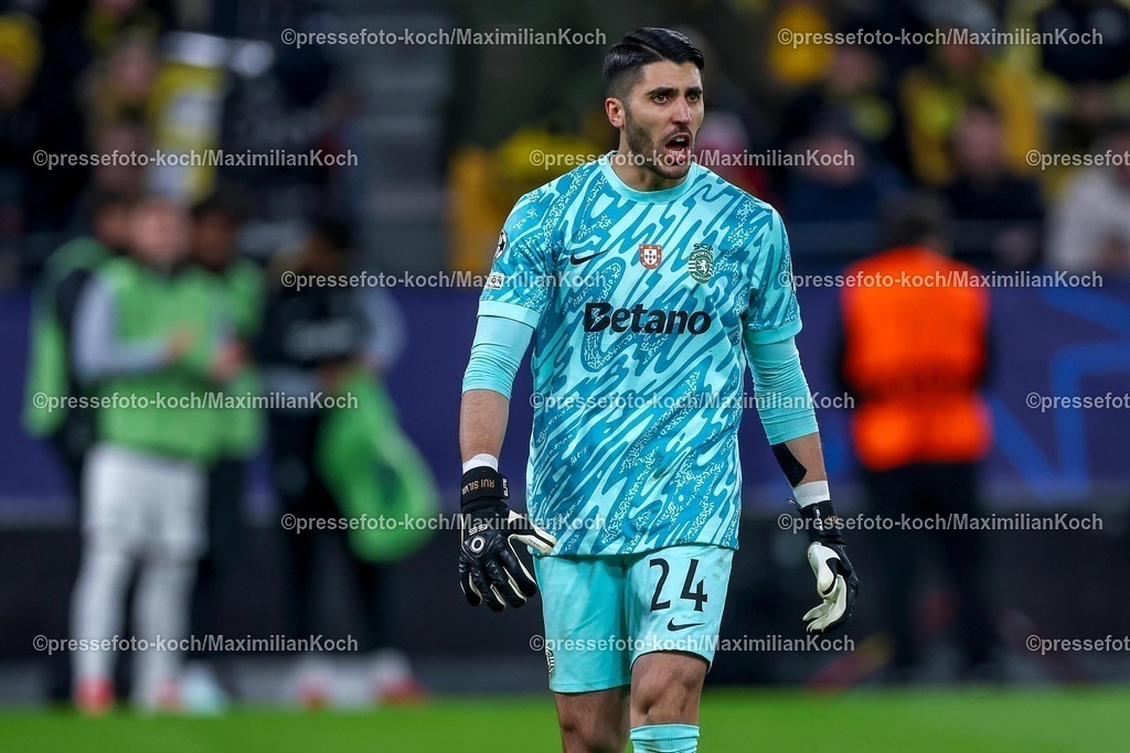 UCL1902250102292 | 19.02.2025, Fußball, UEFA Champions League, Borussia Dortmund - Sporting Lissabon, Signal Iduna Park, Knockout phase play-offs, Saison 2024 2025: Torwart Rui Silva (Sporting #24) Mimik Freude Euphorisch nach dem gehaltenen Elfmeter