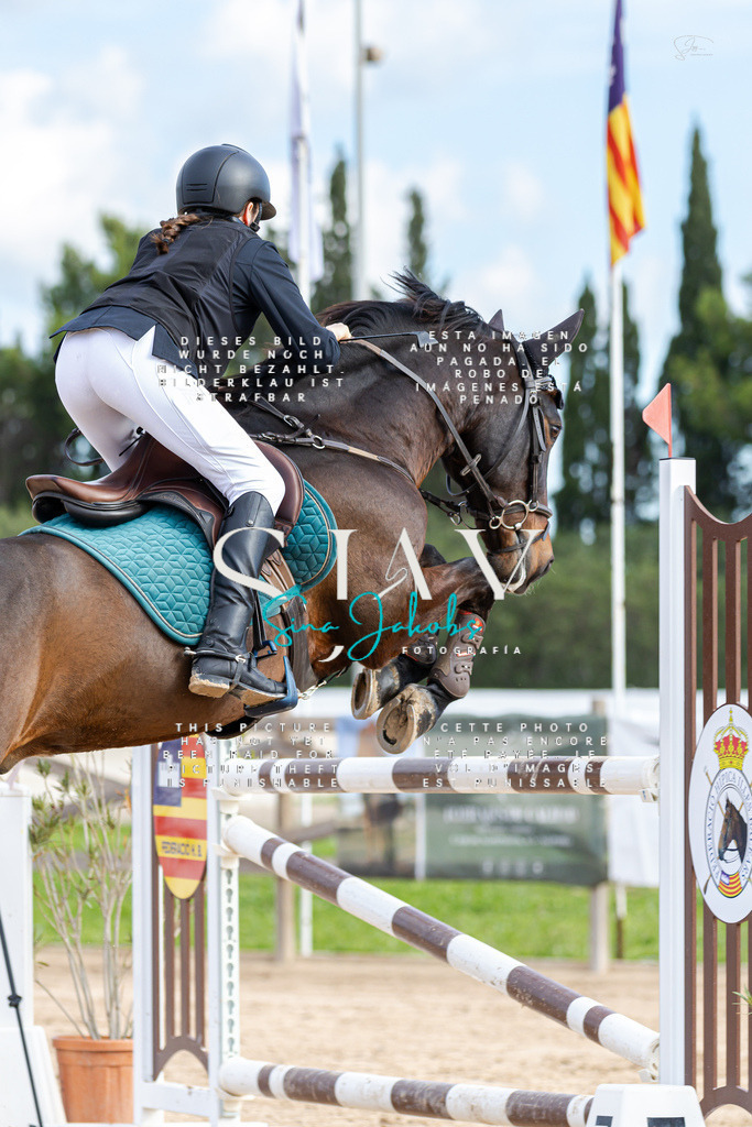 IMG_2664 | s-jay-photography - Realisiert mit Pictrs.com