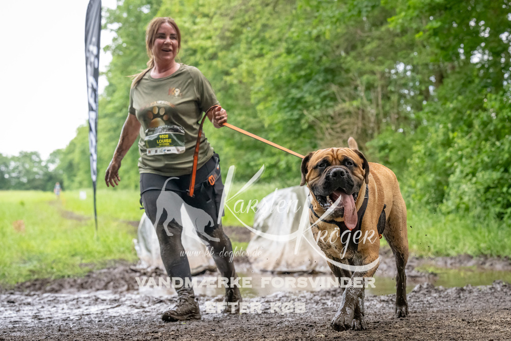 1538_ZZ94707-Bearbeitet | kk-dogfotos