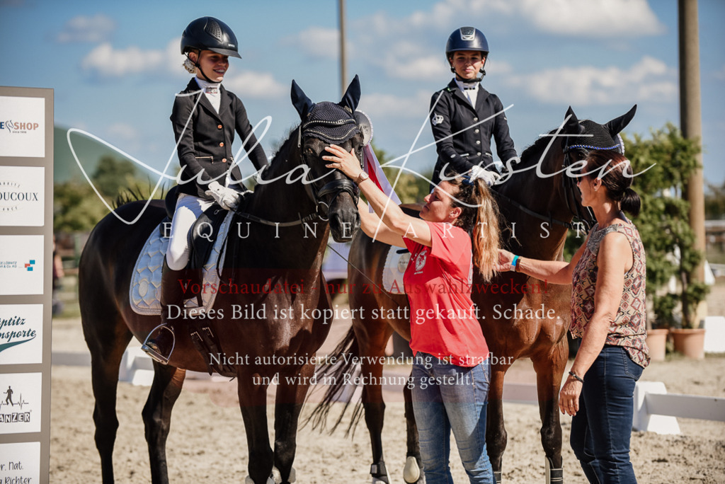 DSC_9806 | Pferde- und Turnierfotografie in Westsachsen. Pferdeportraits, Auftragszeichnungen und intuitive Kunst.