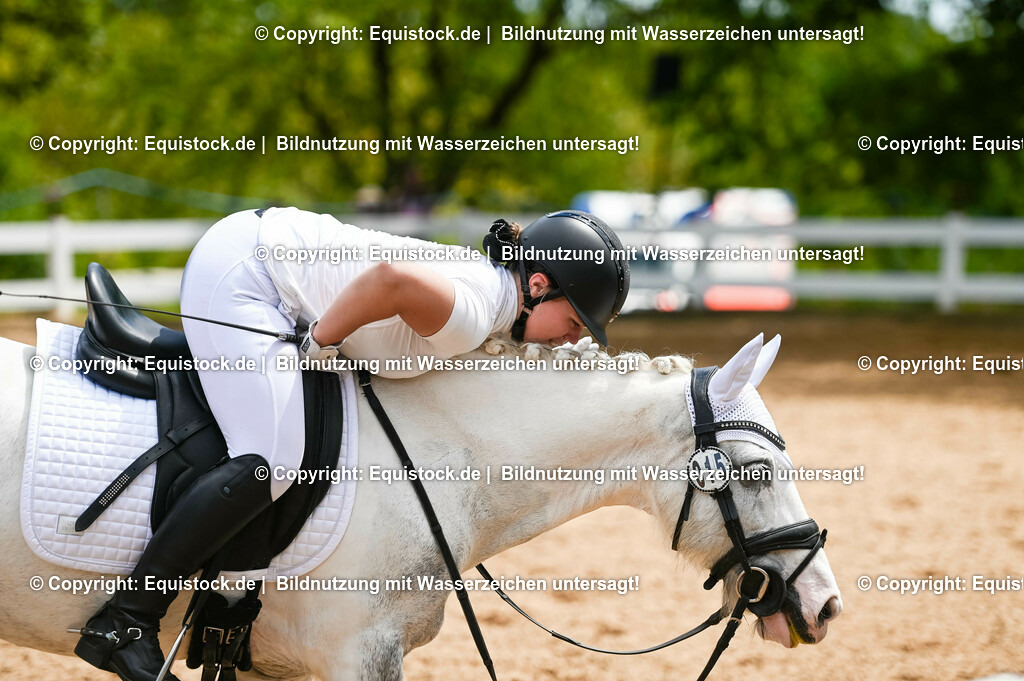 20230715_05_Dressurprüfung Kl.A++_0298 | equistock