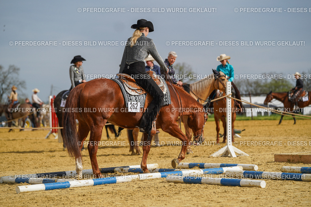 DSC01900 | Pferdegrafie