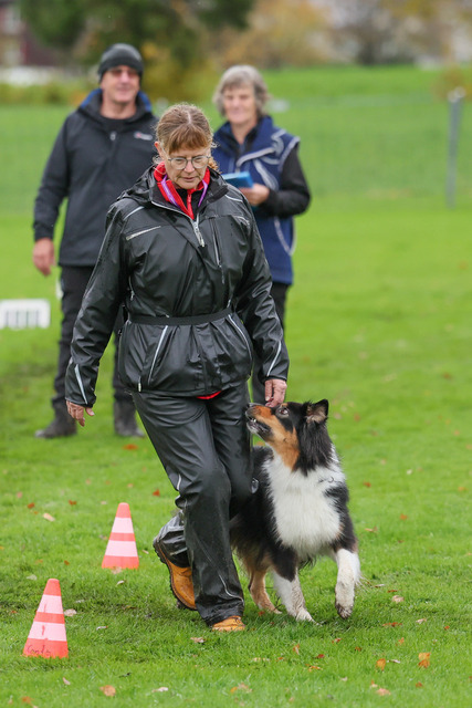 2025_Rally_Obedience_SM-94 | Ich fotografiere Hundeausstellungen, Sportanlässe, Zuchtstätten, Hundezucht, Hundeportrait, Lagotto - Realisiert mit Pictrs.com
