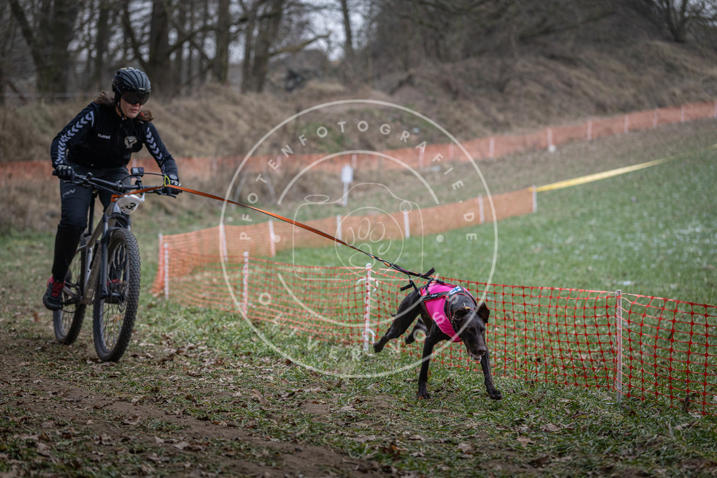 Pfotenfotografie_DV3A9616 | Hundefotografie, Tierfotograf, Pfotenfotografie, Fotoshooting Hund, Hunde Portrait, Hundesport, Hundeportraits, Heideshooting, Hunde, Sportfotograf, Hundefotograf, Turnierhundsport, THS,  - Realisiert mit Pictrs.com