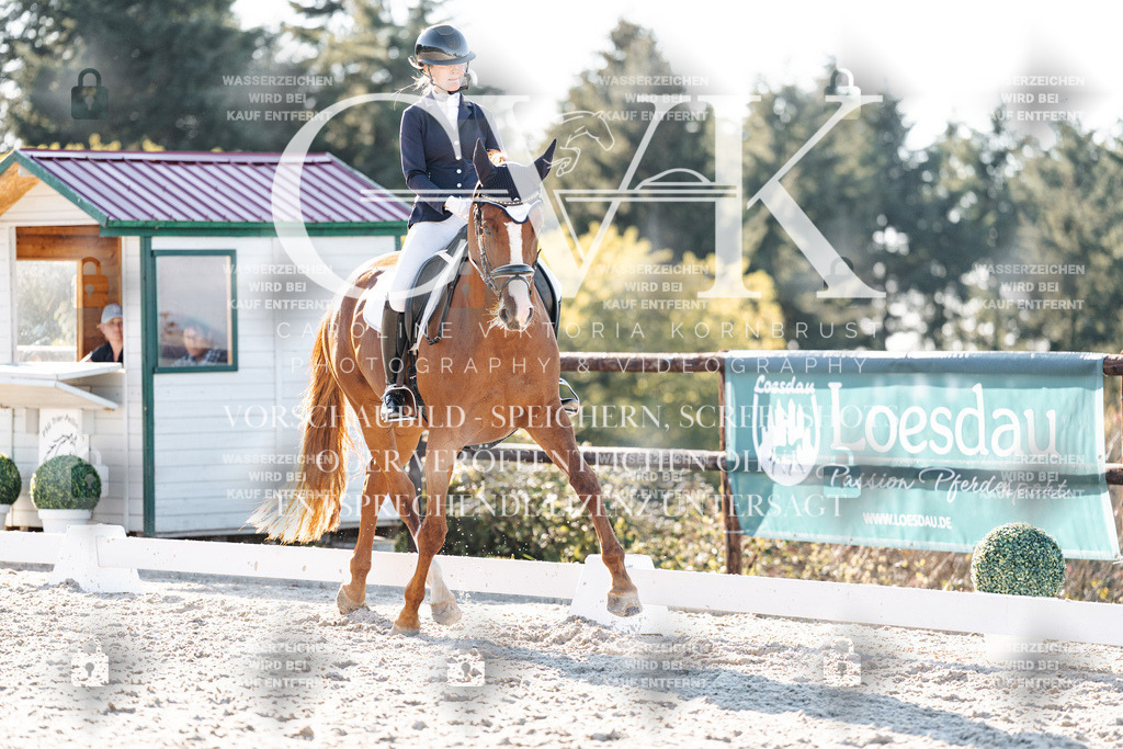CK906837 | Turnierfotografie Pferdefotografie Trier Rheinland-Pfalz Pferdesport Reitsport Tierfotografie Sportfotografie Pferdevideo Pferdevideografie Equestrianvideography equestrianphotography  - Realisiert mit Pictrs.com