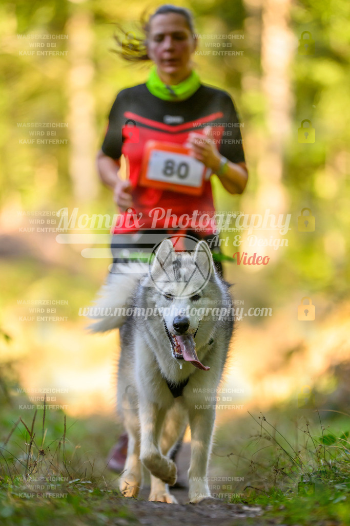 MompixPhotography_Yens2025_B3-115 | PayLife