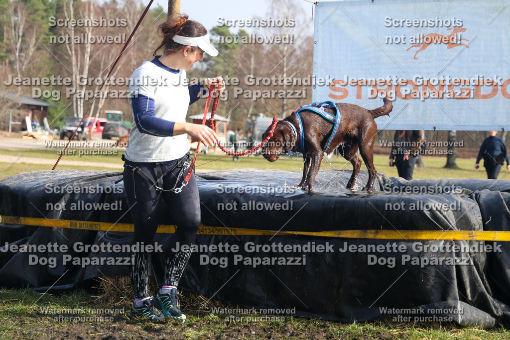 Dog Paparazzi - Strongdog North Mrz26-1645 | Dog Paparazzi Jeanette Grottendiek Fotografie & Videografie - Realisiert mit Pictrs.com