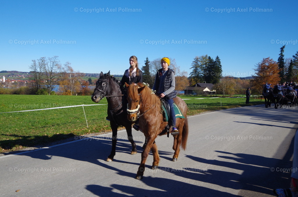 IMGP7820 | fotografiert von Axel PollmannLeonhardi Wallfahrt Benediktbeuern und Murnau, Fronleichnam, Fasching, Landschaft im Loisachtal und Benediktbeuern  - Realisiert mit Pictrs.com