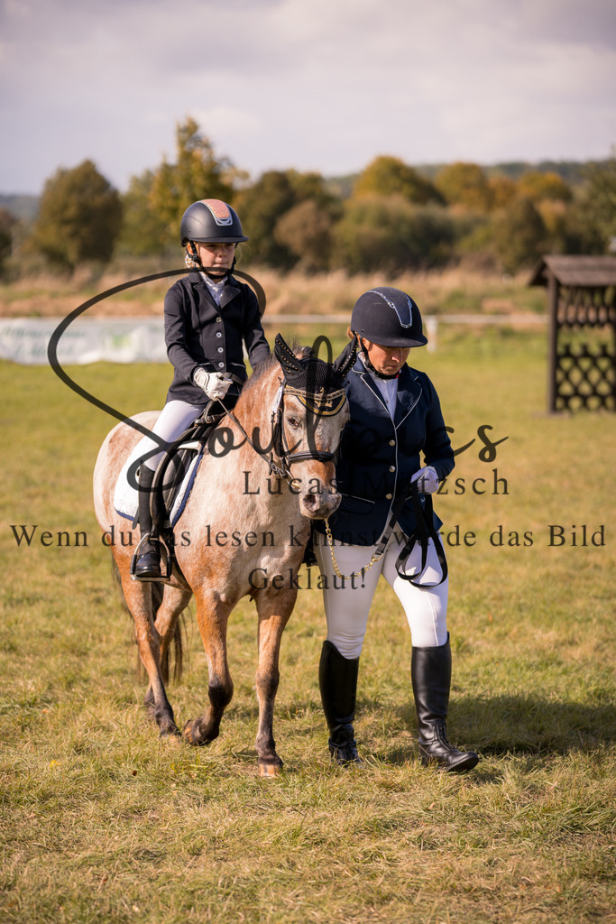 A7V07107 | Pferdefotograf