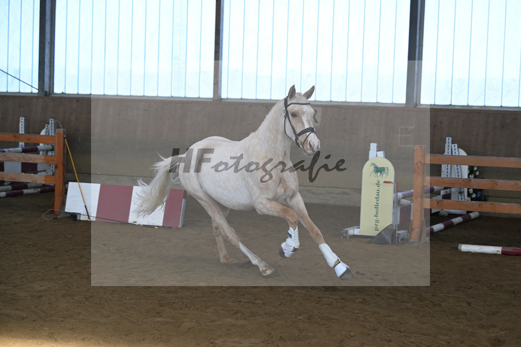 Kat-Nr. 7 Golden Jackpot v. Global Champion_Dirian_49250189 | hf-fotografie - Realisiert mit Pictrs.com