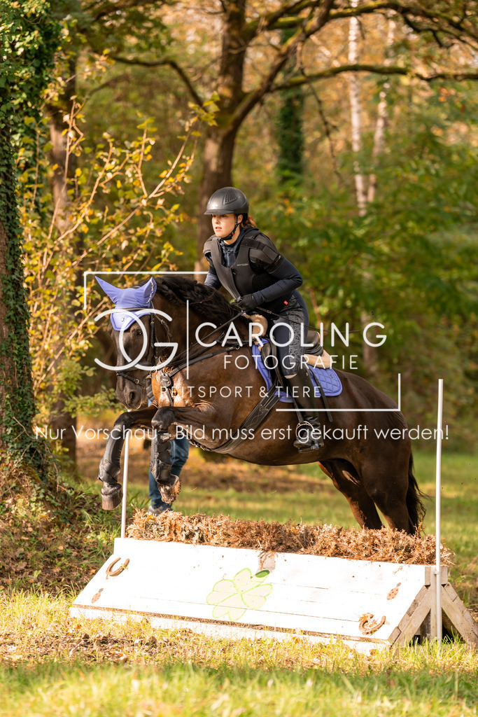 DSC07753 | Turnierfotografin Carolin Gieschke, Turnierfotografie Carolin G Fotografie, Turnierfotos Kirchheim/Teck, Esslingen, Stuttgart, Bodenseekreis