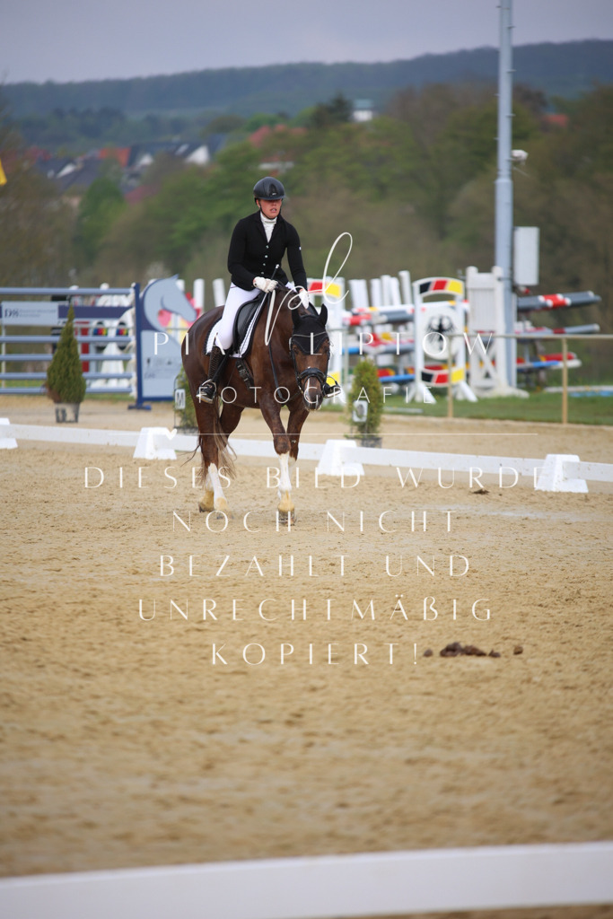 IMGT7850 | pl-fotografie