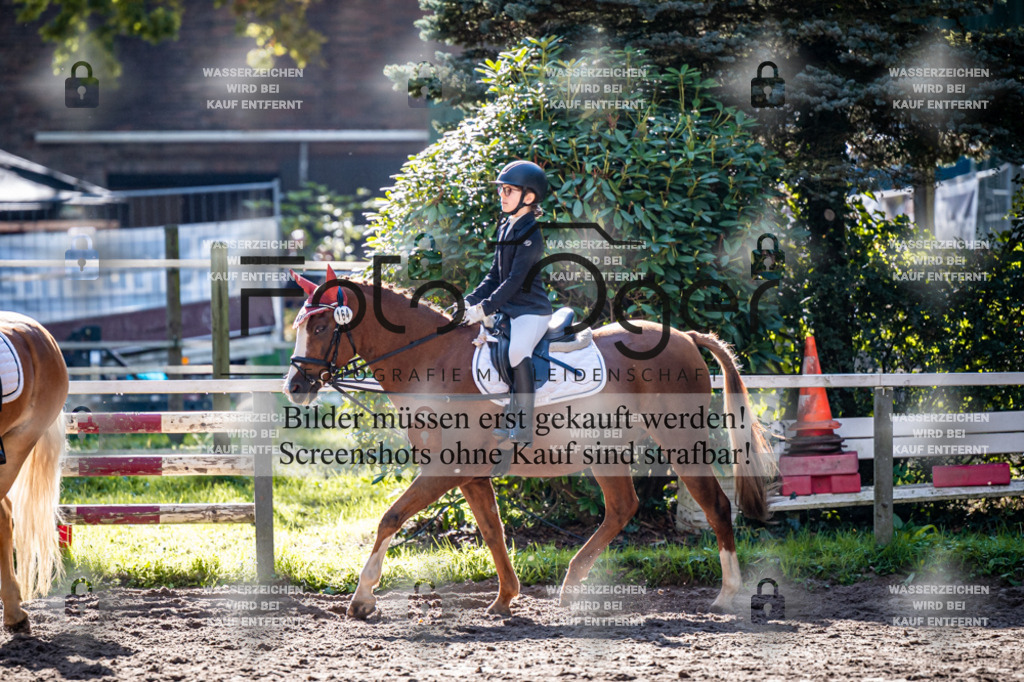 2026-10-Helle-20-4-0011 | Entdecke hochwertige Reitturnierfotos von Foto Oger. Professionell, emotional und authentisch – jetzt Lieblingsmomente im Shop bestellen.Deutschlandweite Turnierfotografie. - Realisiert mit Pictrs.com