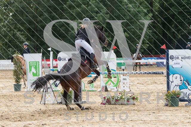 IMG_0634 | stallwerkstudio - Realisiert mit Pictrs.com