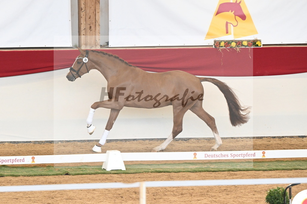 Kat.-Nr. 76 v. Sir Heinrich_Schulze Averdiek_3261123 | hf-fotografie - Realisiert mit Pictrs.com