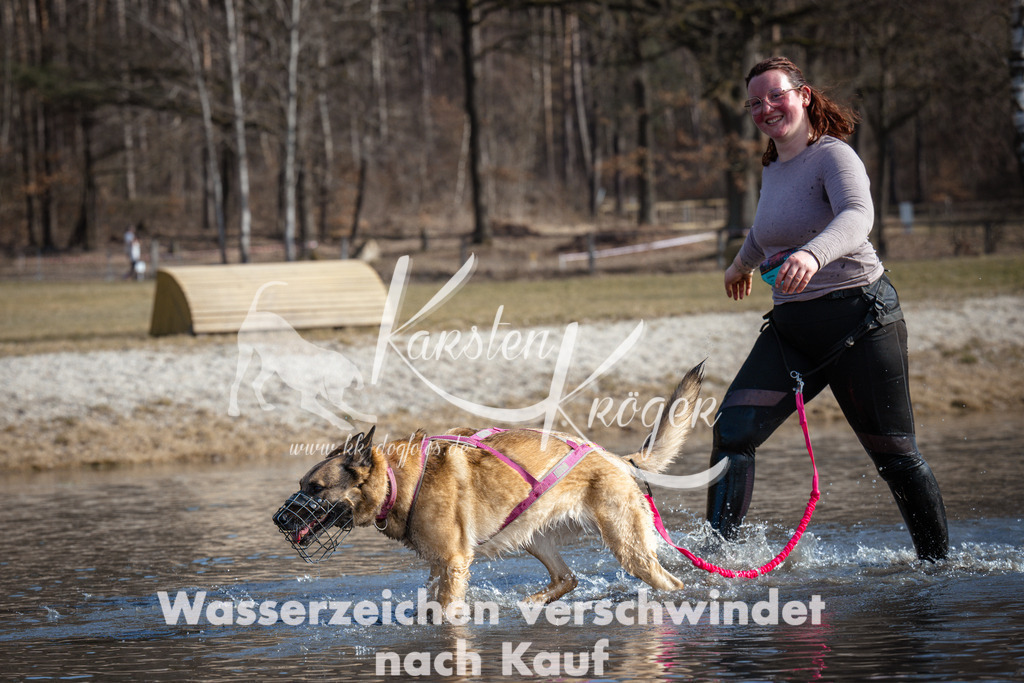1155_ZZ97376 | kk-dogfotos