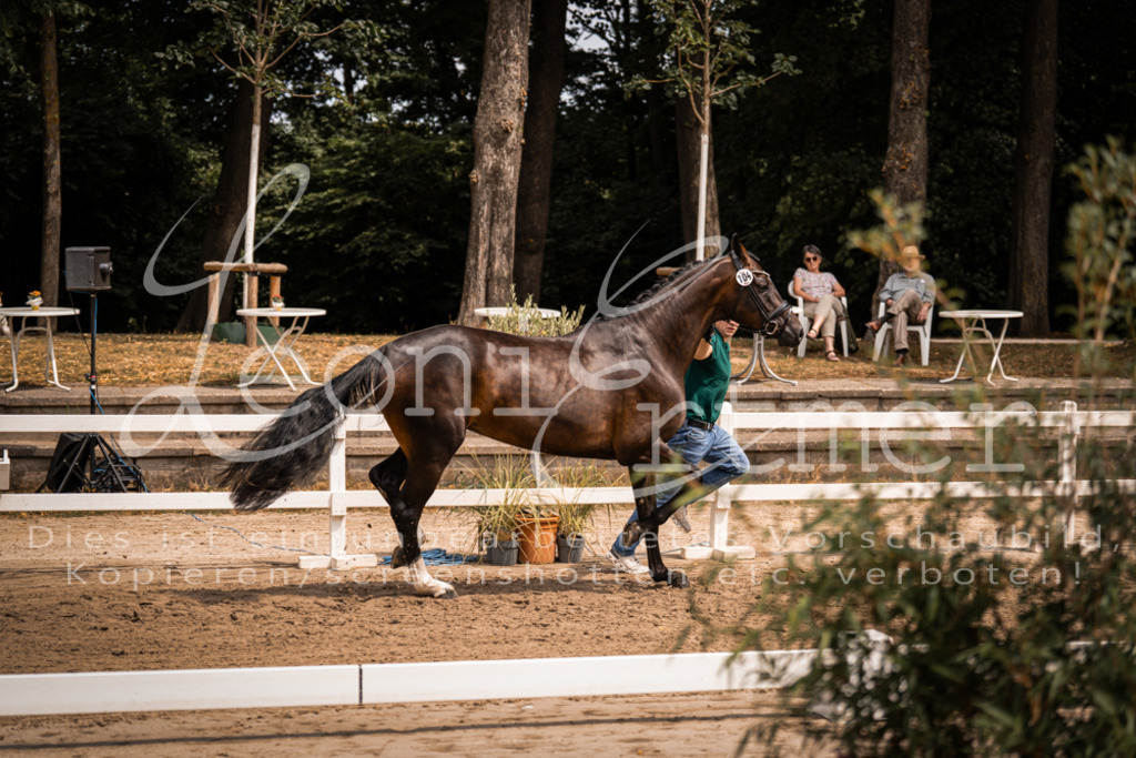 2. Fr00092 | Leoni Ertmer Photography - Realisiert mit Pictrs.com