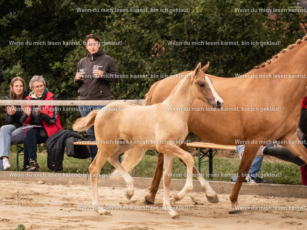 A10I3424 15.56.14 | photographylinaismer - Realisiert mit Pictrs.com