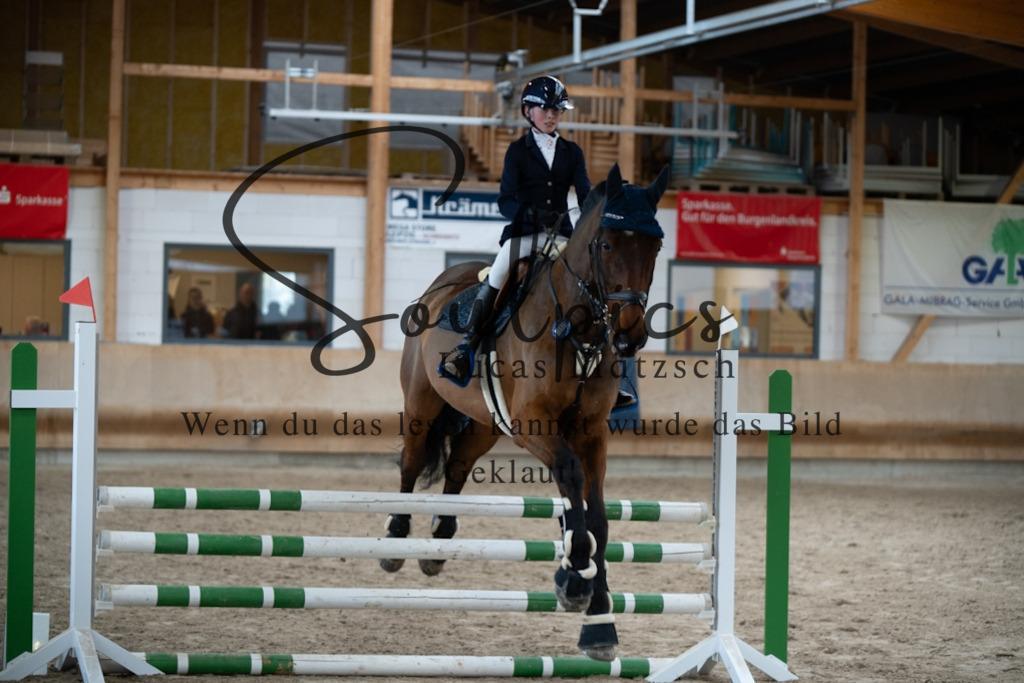 A7V00438 | Pferdefotograf