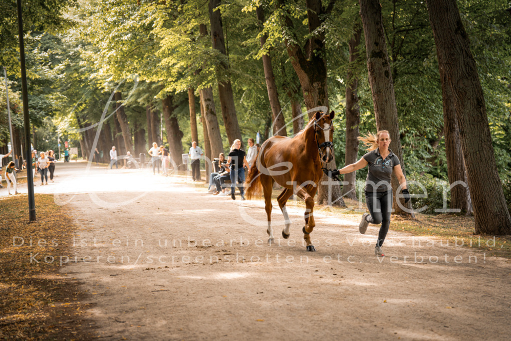 FrPfM00099 | Leoni Ertmer Photography - Realisiert mit Pictrs.com