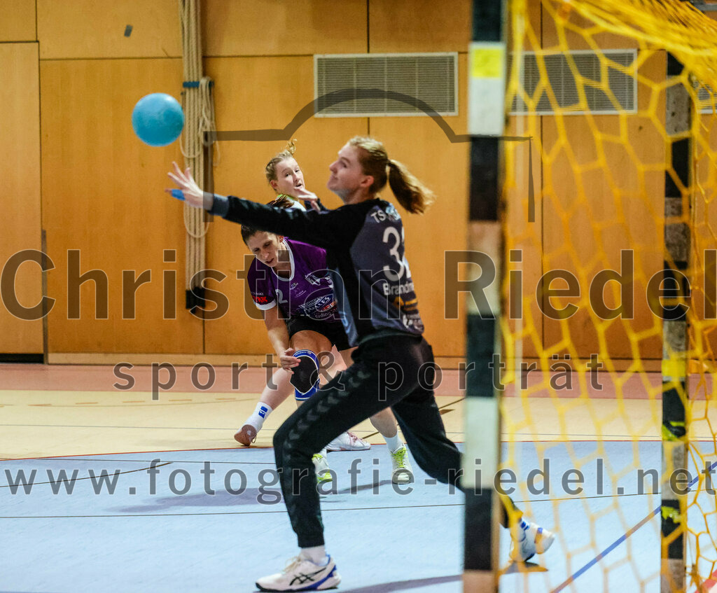 2023-11-11_016_SpVgg_Altenerding_gegen_TSV_Simbach_II | Erding, Deutschland, 11.11.2023:
Handball, Bezirksliga Frauen Altbayern 2023 / 2024, 5. Spieltag, SpVgg Altenerding II gegen TSV Simbach II, Endergebnis: 31:28

Paulina Podesser (TSV Simbach, #29), Grit Kschischow (SpVgg Altenerding, #2), Torfrau Sonja Brandmeier (TSV Simbach, #32)

Foto: Christian Riedel / fotografie-riedel.net