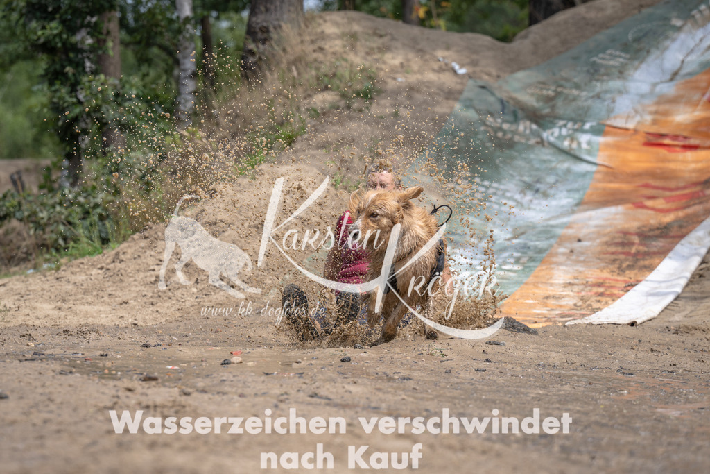 1251_ZZ94393 | kk-dogfotos