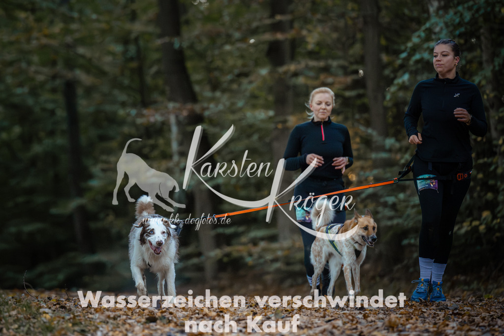 0850_ZZ96127 | kk-dogfotos