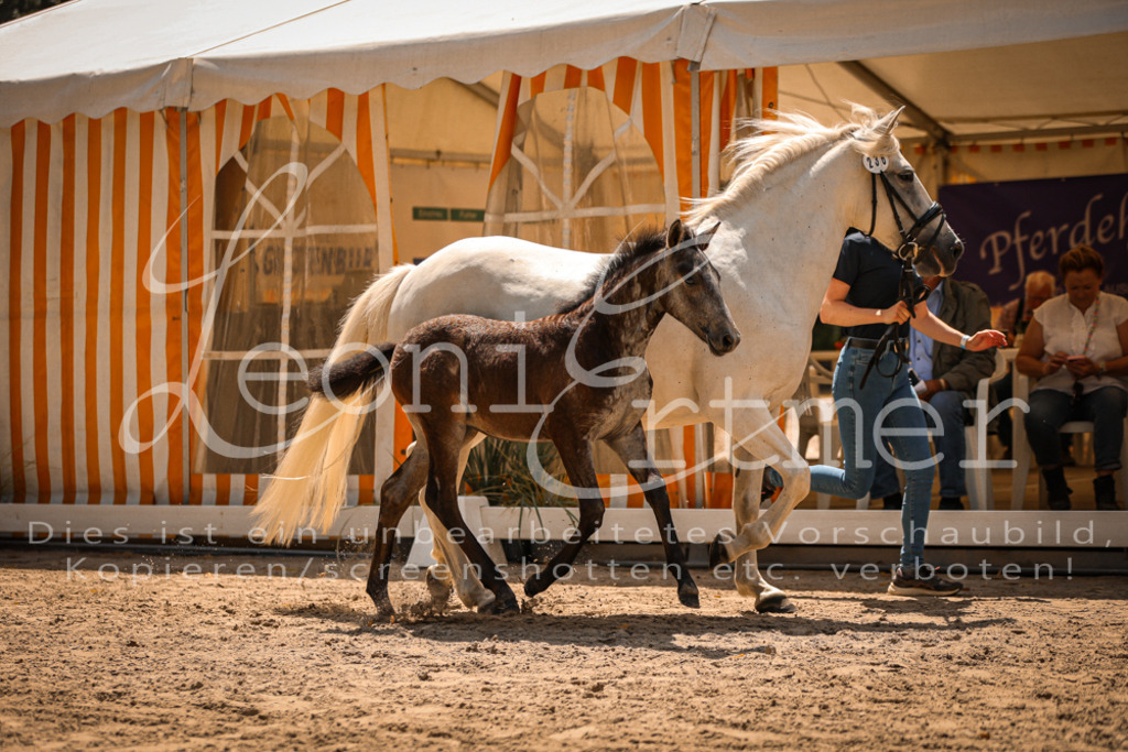 02.DoSR00188 | Leoni Ertmer Photography - Realisiert mit Pictrs.com