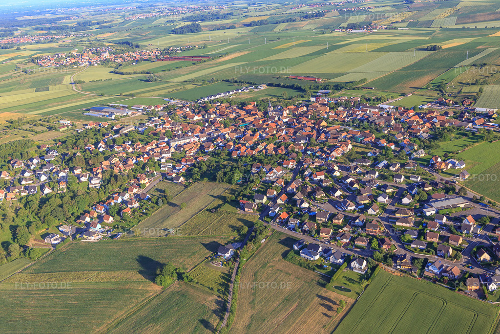 Luftbild: Ortsansicht aus Norden in Dauendorf im Bundesland Bas-Rhin in Frankreich. – Foto: IMG_115458.jpg vom 16.06.2019 durch Werner Riehm/FLY-FOTO.de – Auflösung des Originals: 5472 x 3648 px