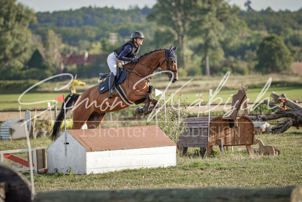 20250906-_3LI7764 | Tierfotografie Pferde, Hunde, Katzen, Haustiere.
Turnierfotografie Reitturniere, Reiten, Springreiten, Dressur in Hanau, dem Main-Kinzig-Kreis und dem Rhein-Main- Gebiet um Frankfurt
