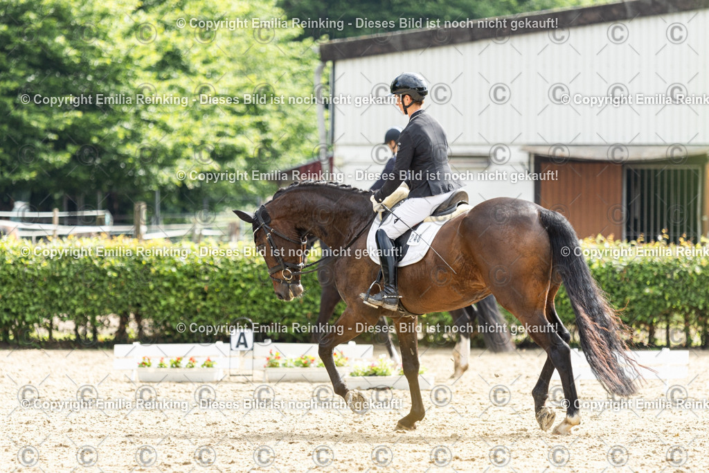 CL5A5900 | Emilia Reinking Fotografie - Realisiert mit Pictrs.com