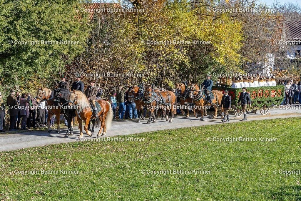 LBT25-766 | foto-bettina-krinner - Realisiert mit Pictrs.com