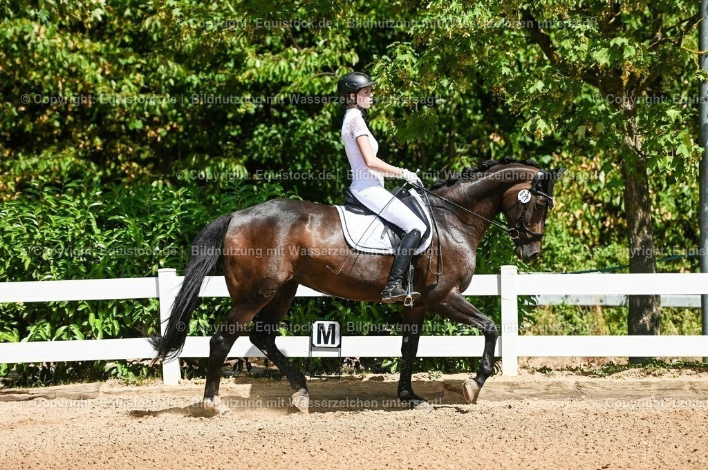 20230715_02_Dressurreiterprüfung Kl.L_0058 | equistock