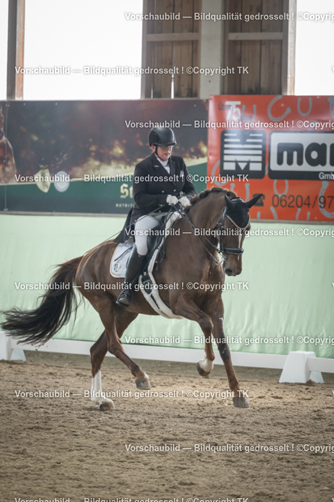 _D5A5346 | Emotionale Pferde- & People-Fotografie rund um Heidelberg, Leimen & Umgebung. Natürliche Fotos von Pferd, Mensch & Familie. Jetzt Termin sichern!