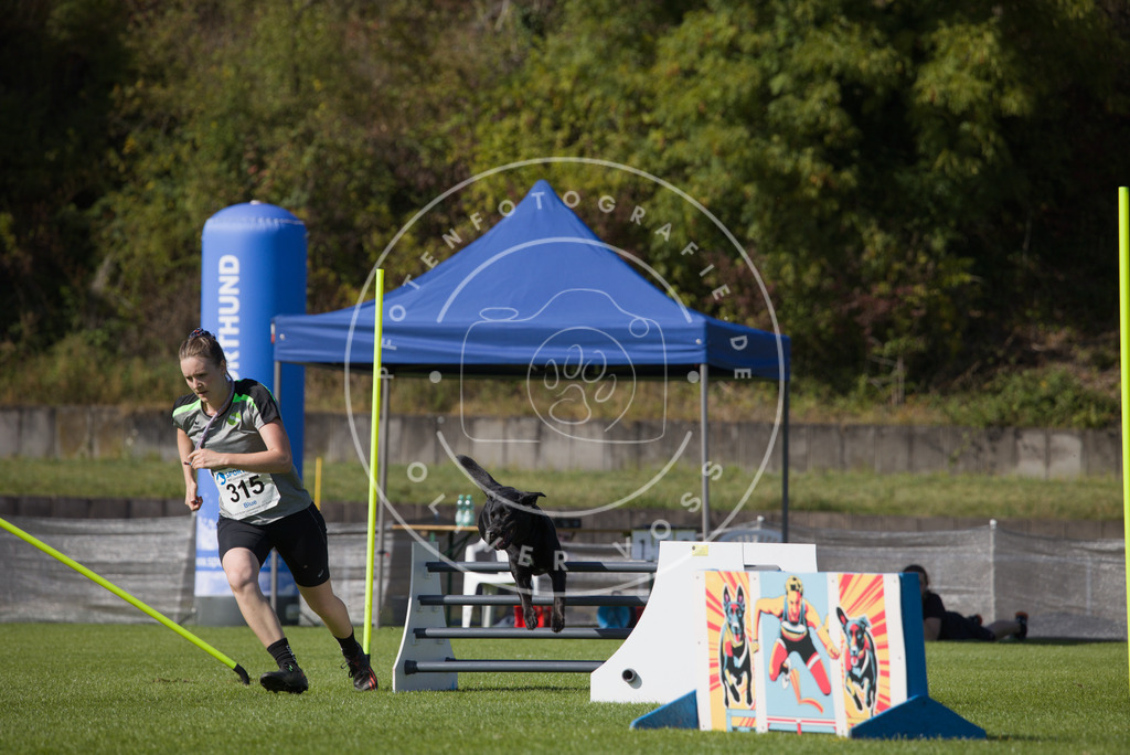 0L8A8132 | Hundefotografie, Tierfotograf, Pfotenfotografie, Fotoshooting Hund, Hunde Portrait, Hundesport, Hundeportraits, Heideshooting, Hunde, Sportfotograf, Hundefotograf, Turnierhundsport, THS,  - Realisiert mit Pictrs.com