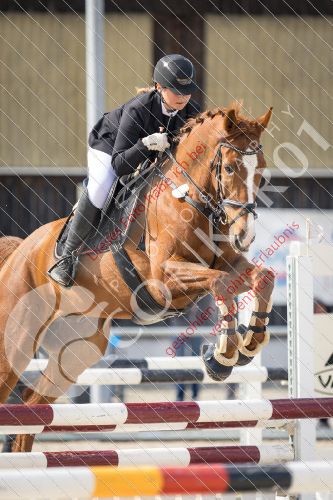 IMG_4212 | Sport-, Event- und Tierfotos in Profiqualität. Einfach auswählen, bestellen und herunterladen. Dein Moment – perfekt festgehalten.