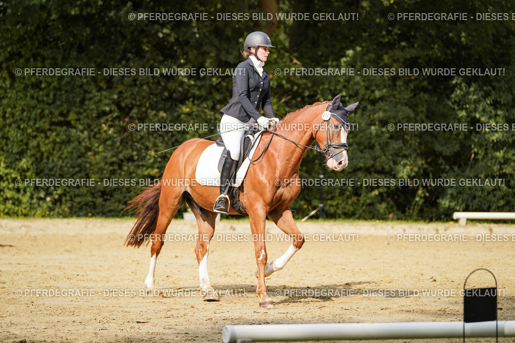 DSC03171 | Pferdegrafie