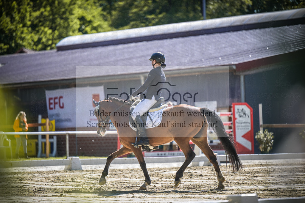 DOS_2509 | Entdecke hochwertige Reitturnierfotos von Foto Oger. Professionell, emotional und authentisch – jetzt Lieblingsmomente im Shop bestellen.Deutschlandweite Turnierfotografie. - Realisiert mit Pictrs.com