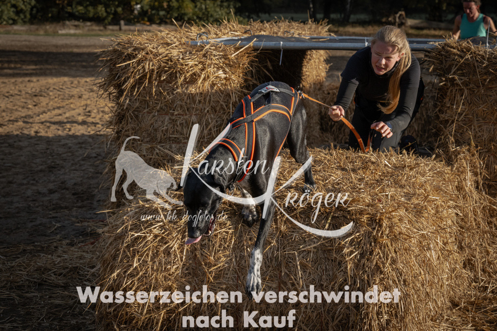 0955_ZZ95435 | kk-dogfotos