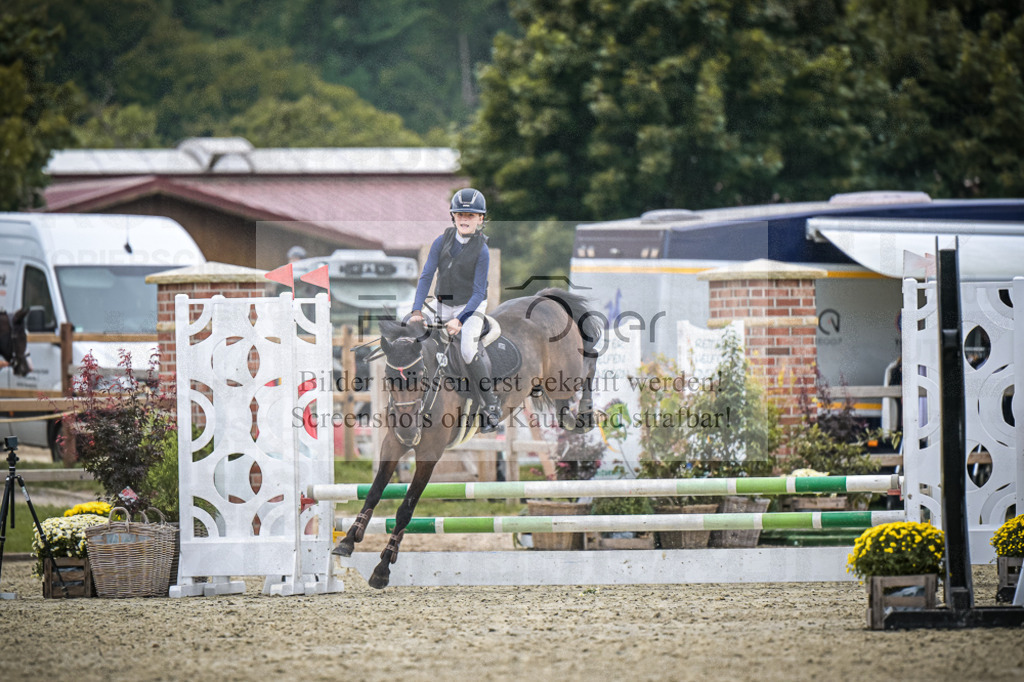 DOS_0987 | Entdecke hochwertige Reitturnierfotos von Foto Oger. Professionell, emotional und authentisch – jetzt Lieblingsmomente im Shop bestellen.Deutschlandweite Turnierfotografie. - Realisiert mit Pictrs.com