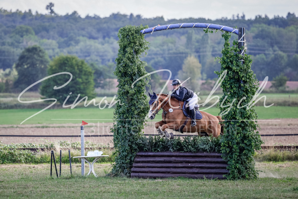 20250906-_3LI7008 | Tierfotografie Pferde, Hunde, Katzen, Haustiere.
Turnierfotografie Reitturniere, Reiten, Springreiten, Dressur in Hanau, dem Main-Kinzig-Kreis und dem Rhein-Main- Gebiet um Frankfurt