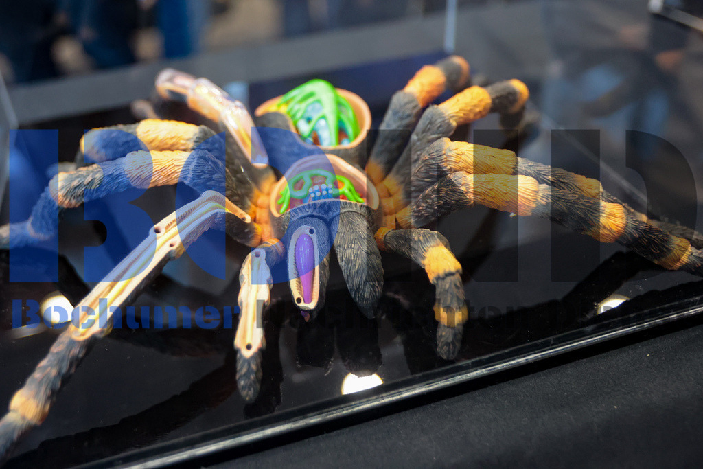 SES_INSBOC20250316-7 | bond - Realisiert mit Pictrs.com