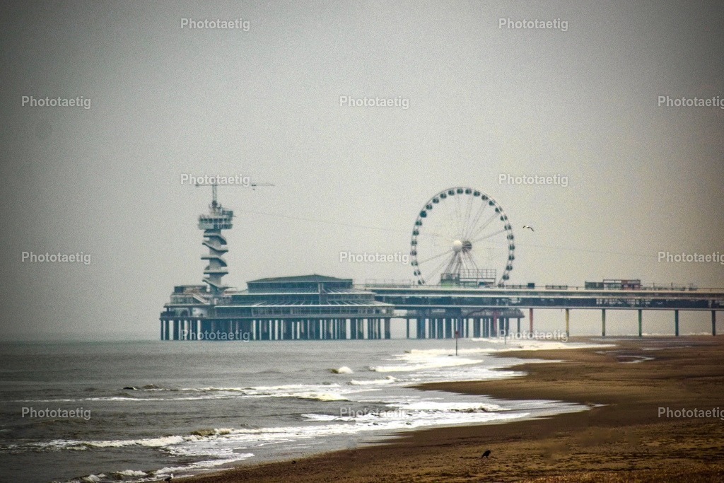 IMG_8790 | phototaetig