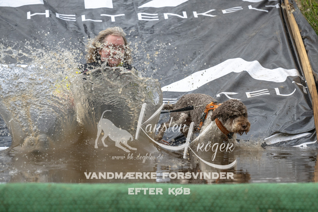 1605_ZZ92164 | kk-dogfotos