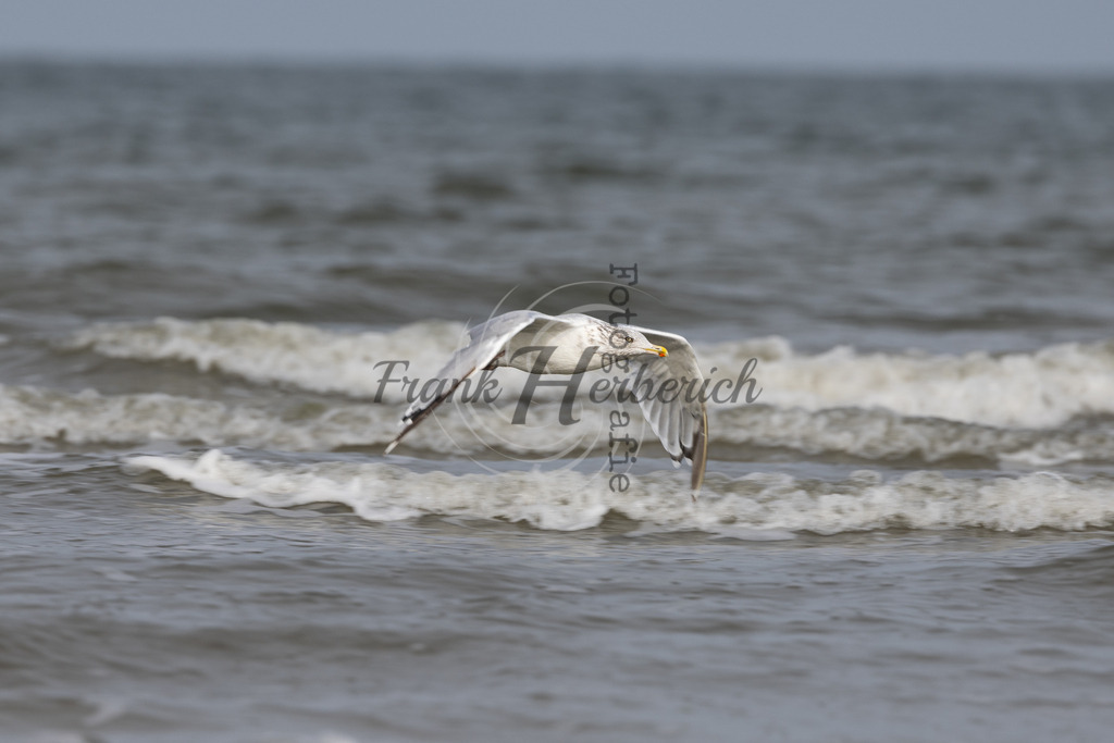 St. Peter Ording | St. Peter Ording - Realisiert mit Pictrs.com