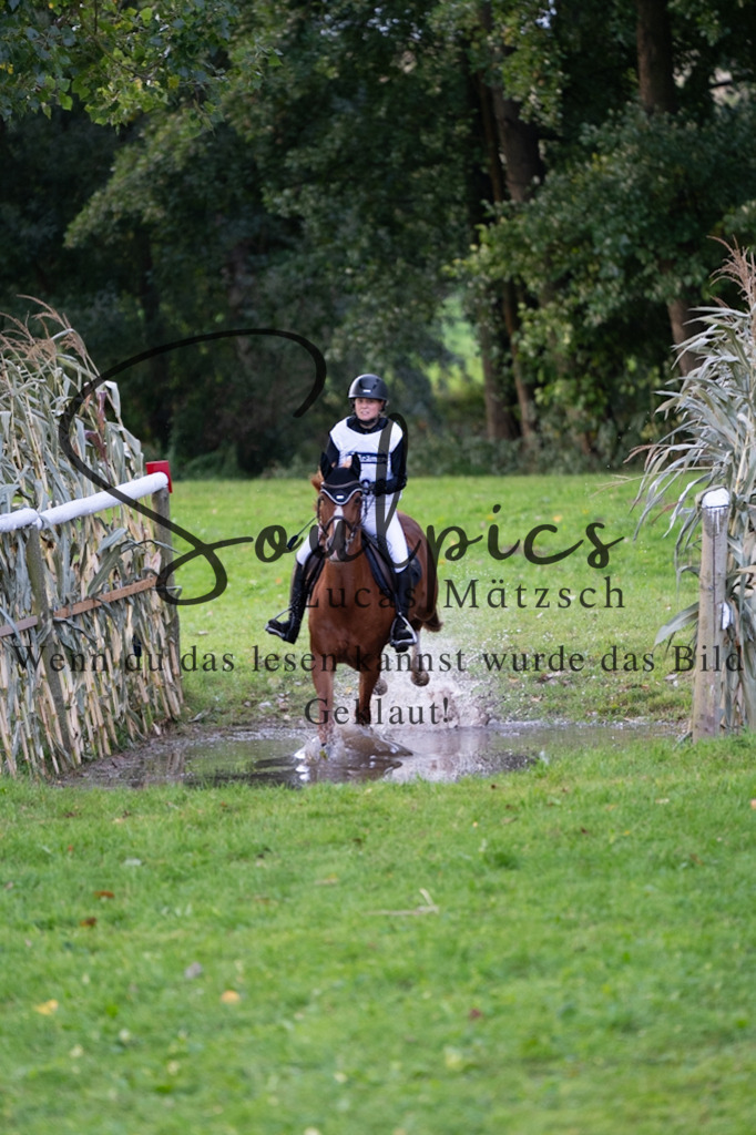 A7V02815 | Pferdefotograf