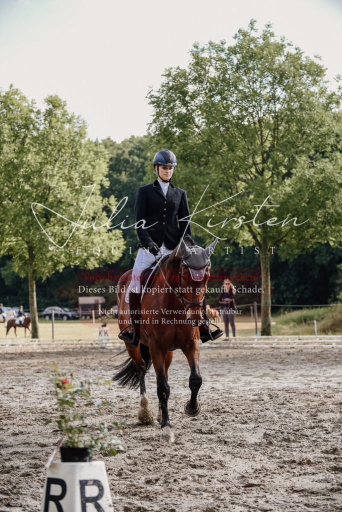 DSC_9026 | Pferde- und Turnierfotografie in Westsachsen. Pferdeportraits, Auftragszeichnungen und intuitive Kunst.
